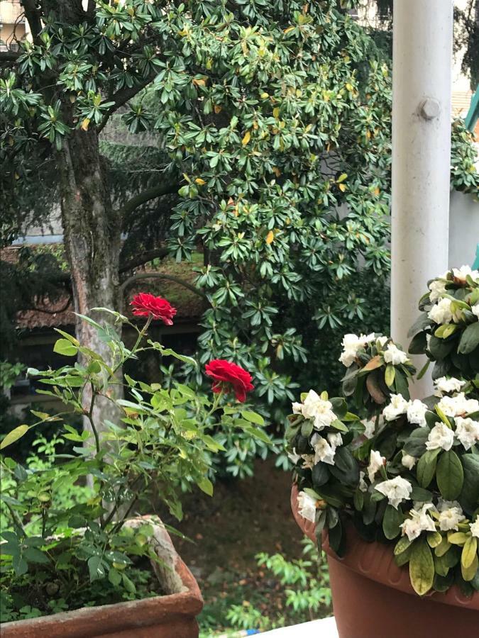 韦尔切利Casa Di Nonna住宿加早餐旅馆 外观 照片